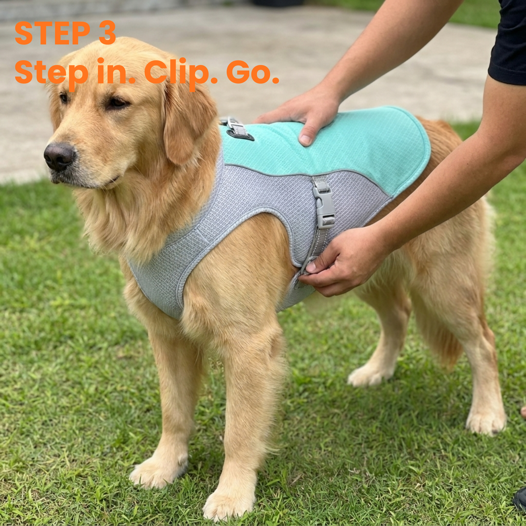 PantLess™ Cooling Vest — The Vest That Gives Your Dog What Evolution Didn't