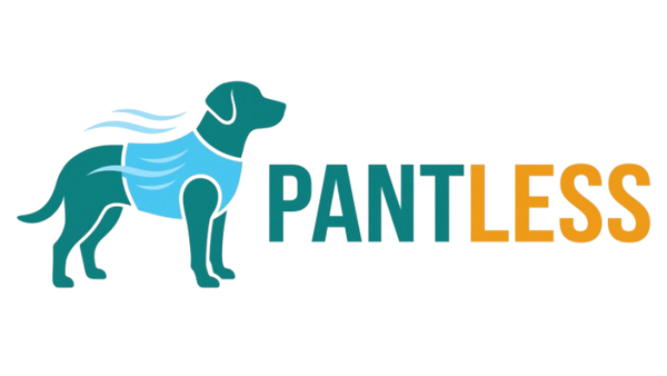 PantLess