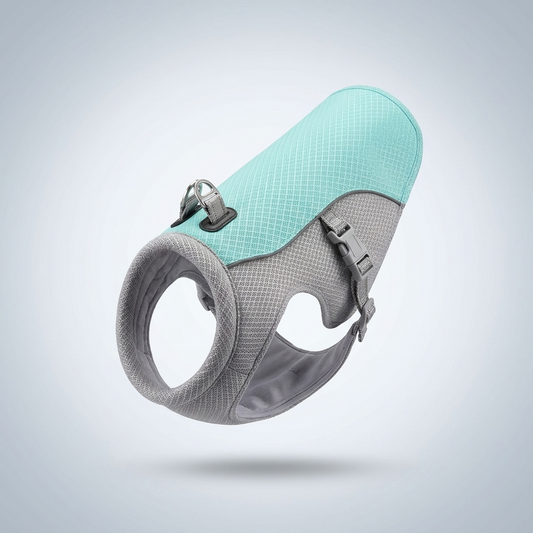PantLess™ Cooling Vest — The Vest That Gives Your Dog What Evolution Didn't